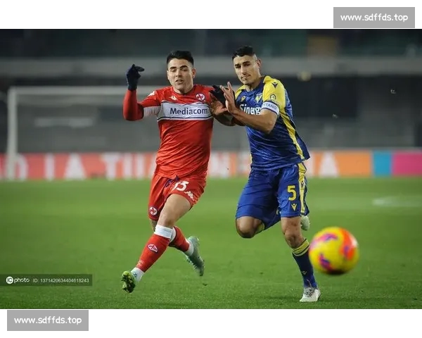 意甲赛事精彩高清直播尽在掌中畅享无缝观赛体验 意甲赛事精彩高清直播尽在掌中畅享无缝观赛体验